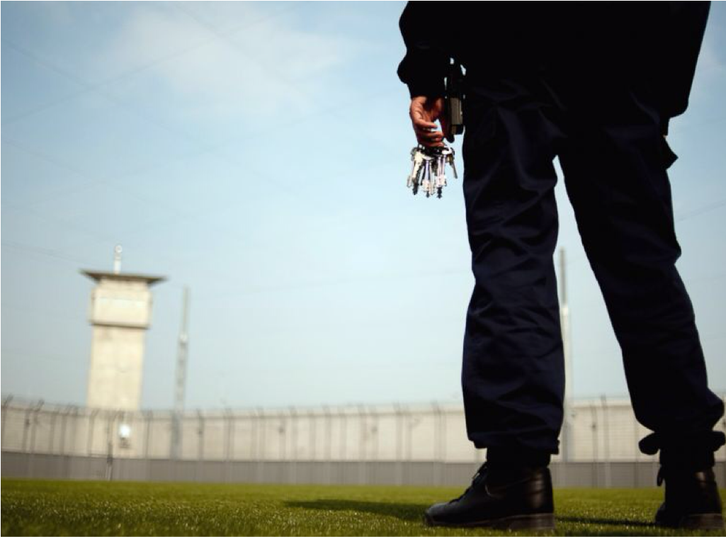 A Plant Cell Is Like A Prison - Agente Penitenciario Do Ceara (1024x999), Png Download