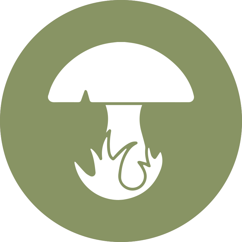 Mycology - Emblem (812x812), Png Download