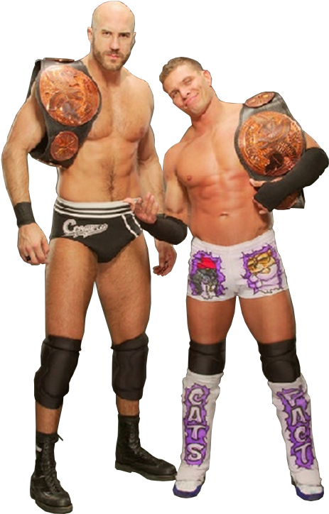 Image Brc1 Titles Png Pro Wrestling Fandom Powered - Wwe Cesaro Tag Team Champion (544x780), Png Download