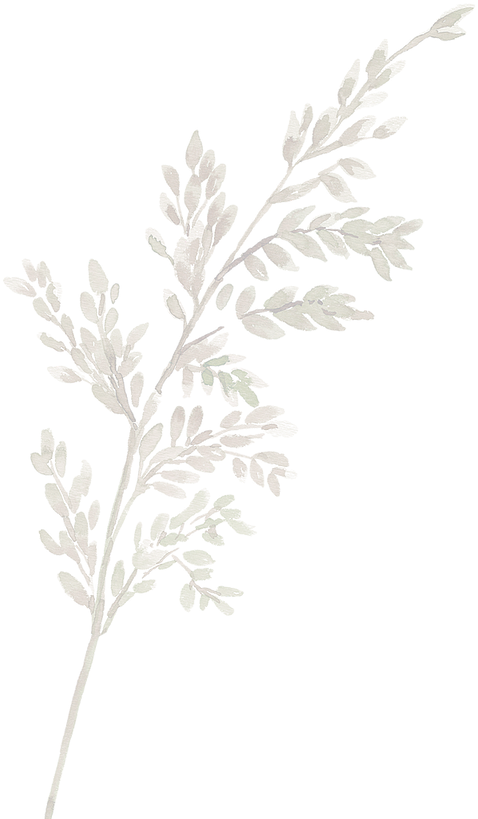 Fern Leaf - Twig (600x840), Png Download