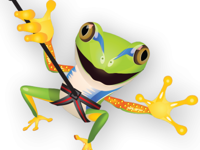 Helmet Clipart Zipline - Poison Dart Frog (640x480), Png Download