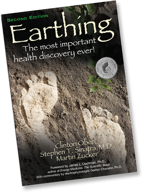 English - Earthing Book (481x652), Png Download
