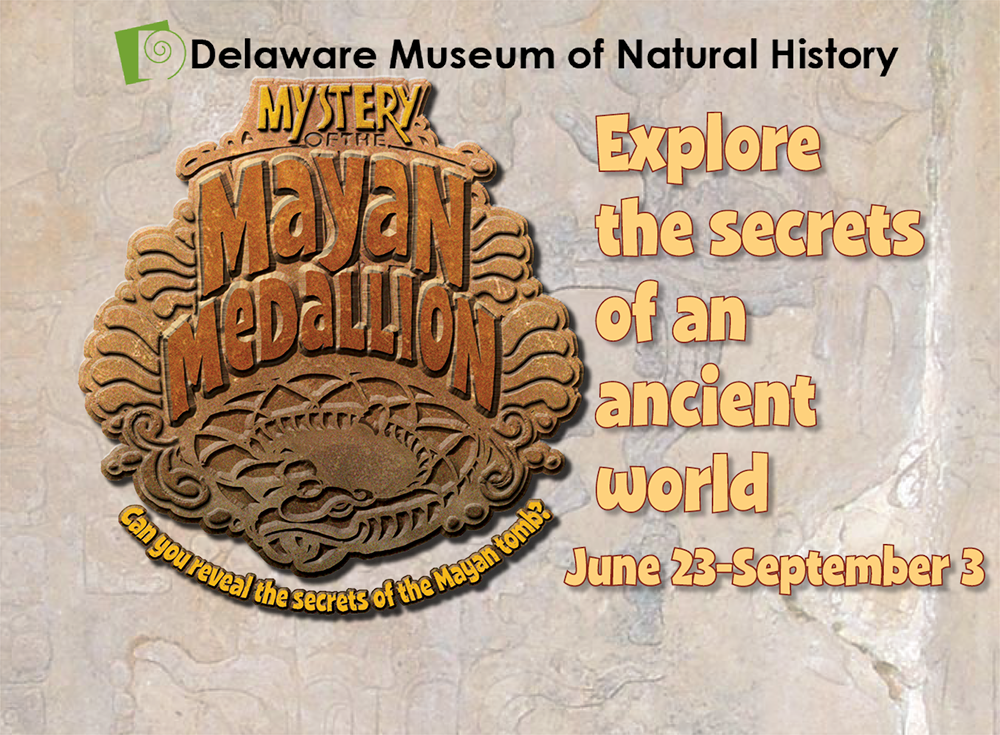 Previous Resume Next - Mayan (1000x735), Png Download