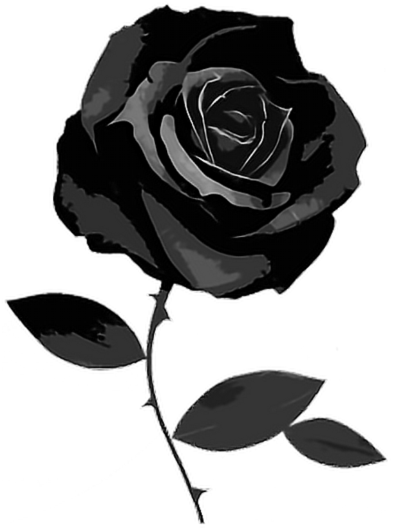 Report Abuse - Black Instagram Theme Dividers (1024x783), Png Download