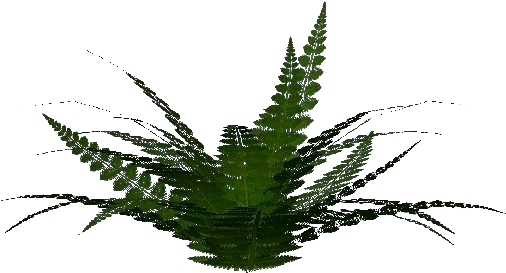 Matojos Png (750x527), Png Download