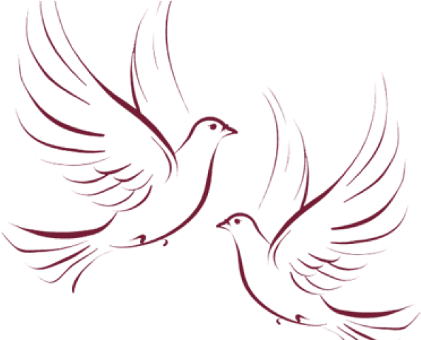 Vector Free Library Wedding Doves Clipart - Doves Wedding (640x480), Png Download