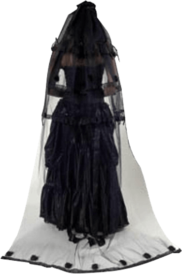 Gothic Bitter Beauty Extra Long Rose Veil - Goth Wedding Veil (555x555), Png Download