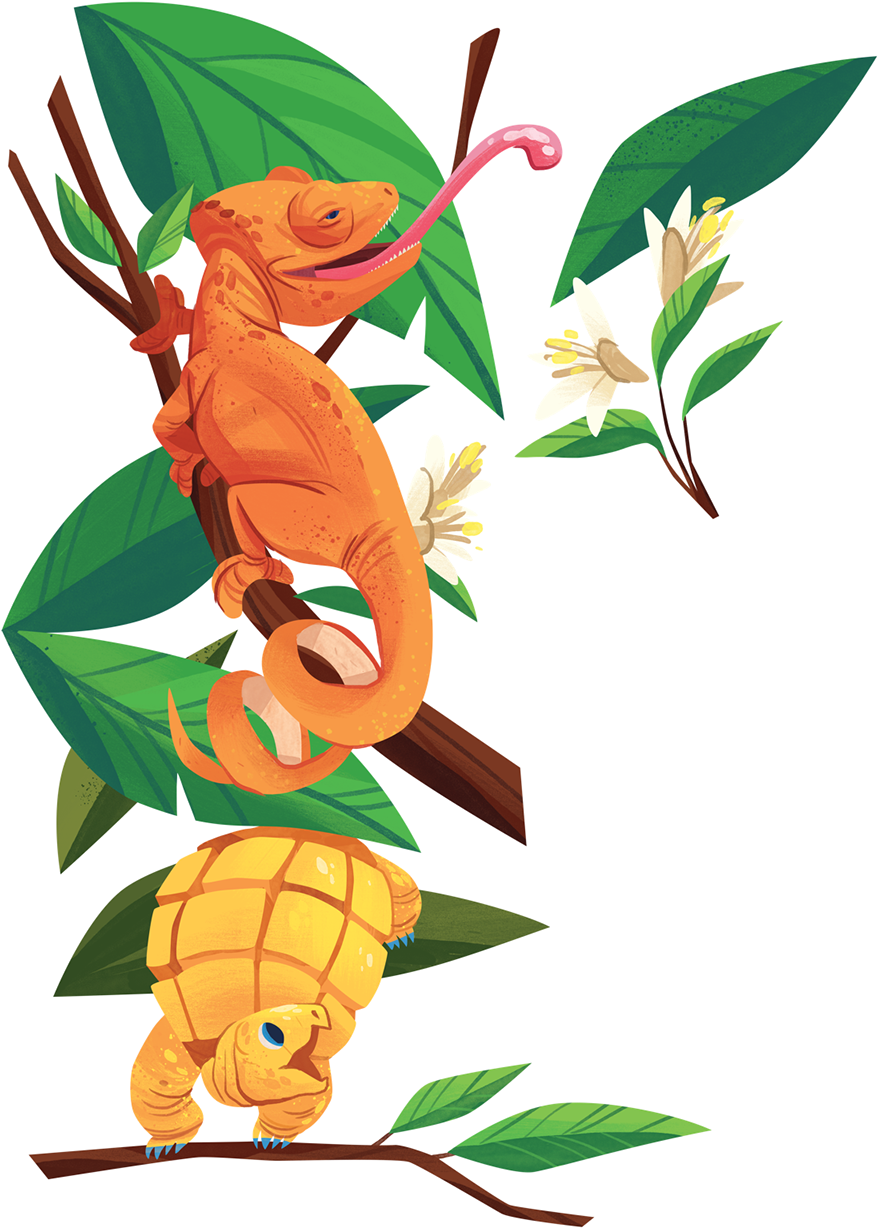 This Campaign Comes Directly Off The Back Of Ben Constantine's - Cartoon (1200x1296), Png Download