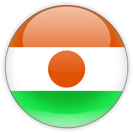 Niger - Niger Flag Circle Png (640x480), Png Download