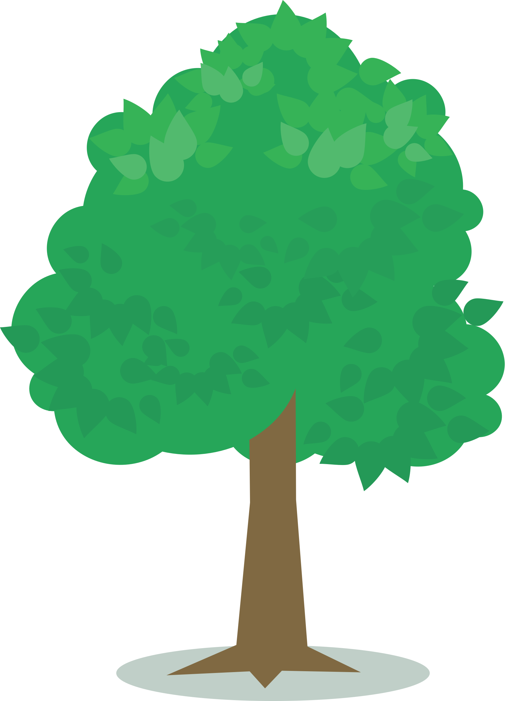 Big Image - Tree (1729x2400), Png Download