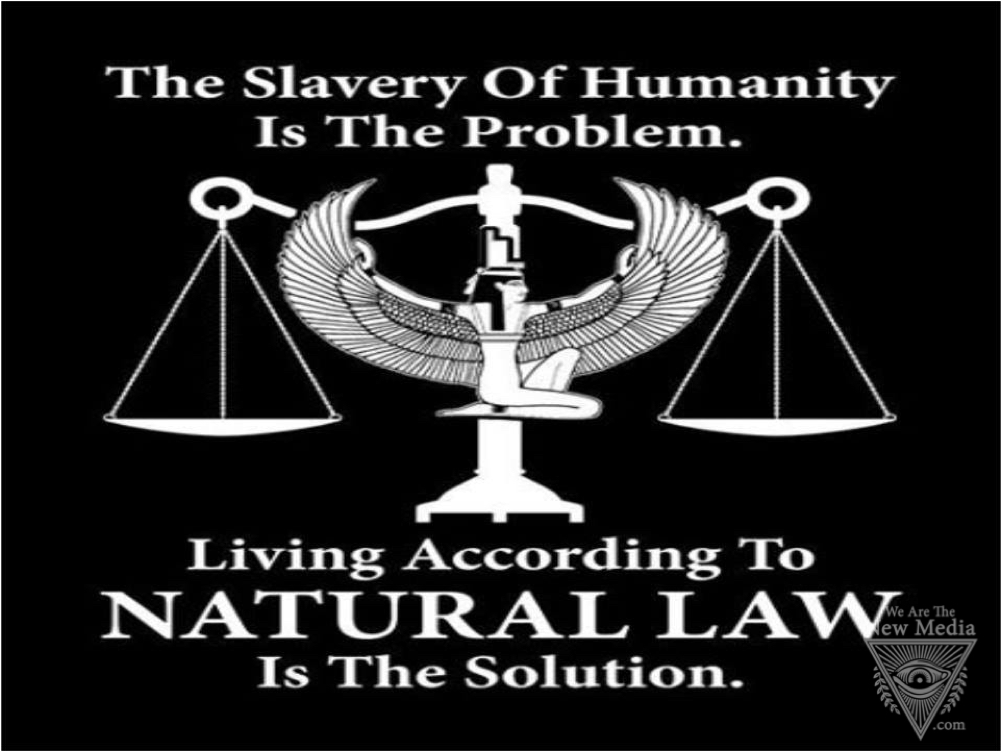 Wearethenewmedia0001 - Wearethenewmedia0001 - Natural Law Symbol (1000x1000), Png Download