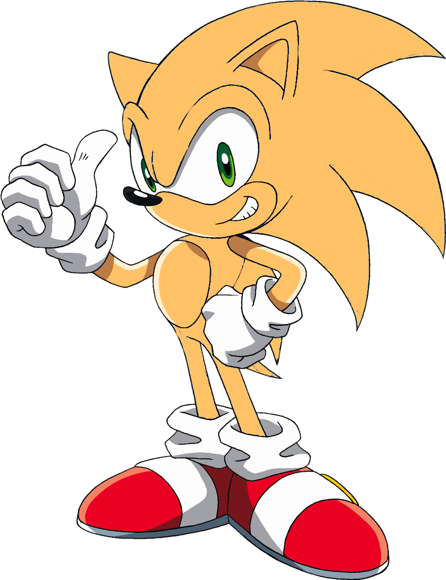 Fiora / フィオーラ On Twitter - Orange Sonic The Hedgehog (915x1181), Png Download