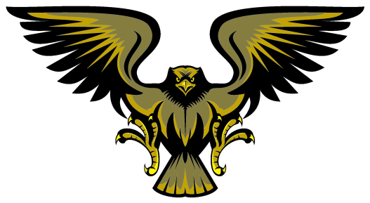 Hawk - Bald Eagle (800x800), Png Download