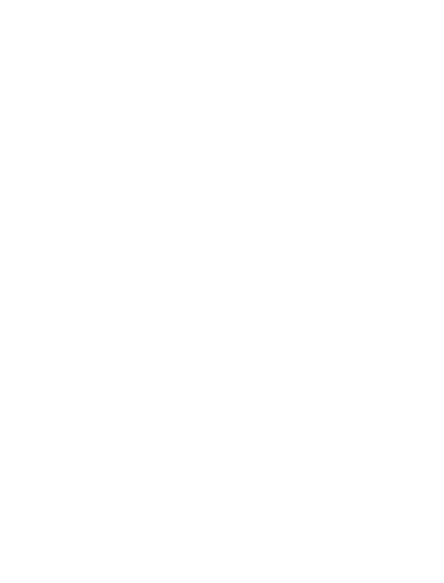 Nlr - Calligraphy (501x658), Png Download
