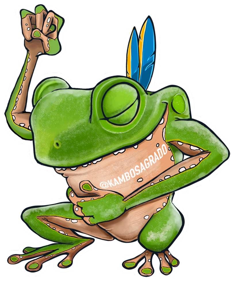 Kambo Sagrado Sticker - Kambo Frog (1000x1000), Png Download