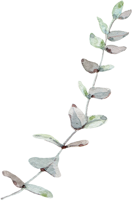 Eucalyptus Leaf Leaves Trees Gum Wind Nordic Clipart - Eucalyptus Png (744x724), Png Download