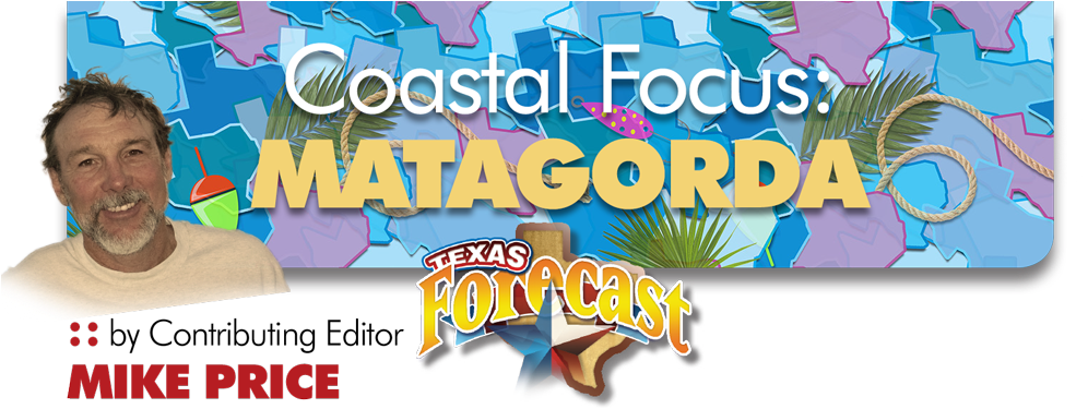 Avoid West Winds - Graphic Design (1024x396), Png Download