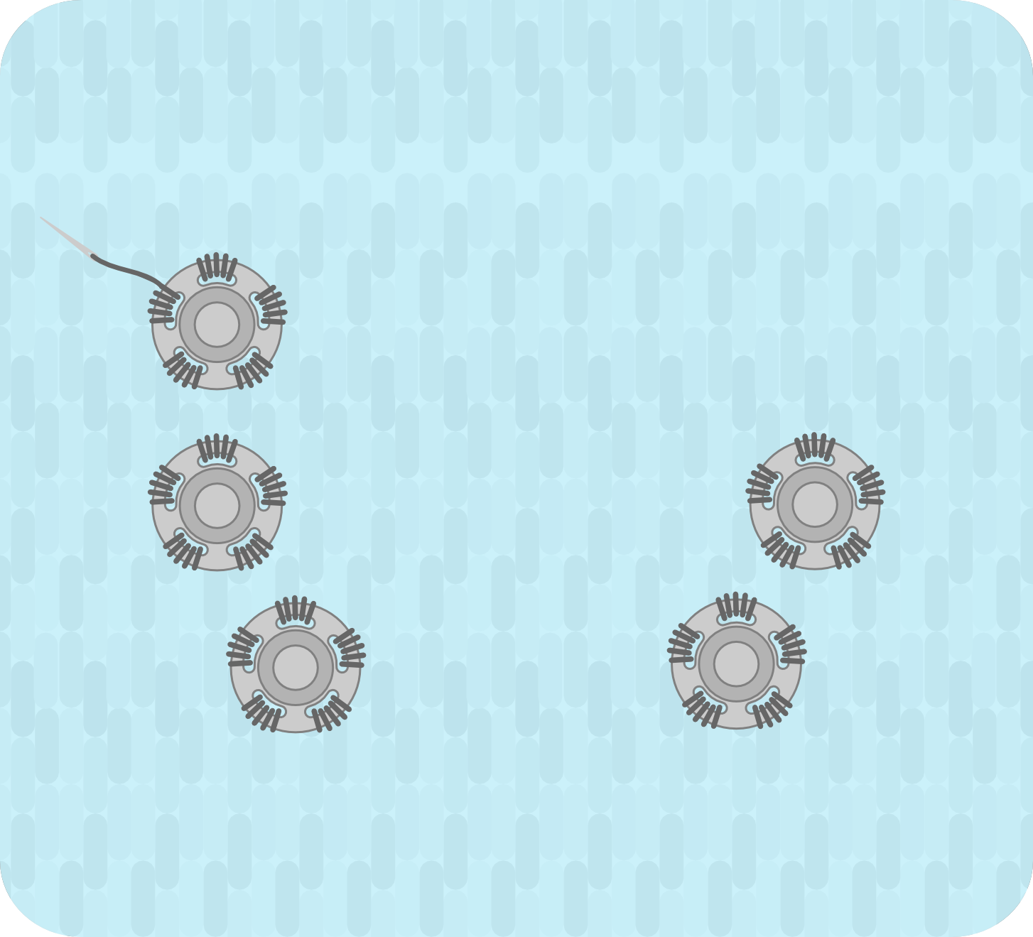 Repeat This With The Remaining Four Poppers - Circle (1454x1319), Png Download