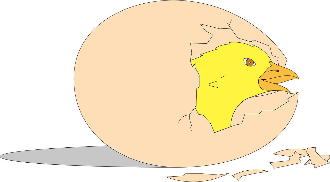 Gambar Animasi Telur Gerak (1280x704), Png Download