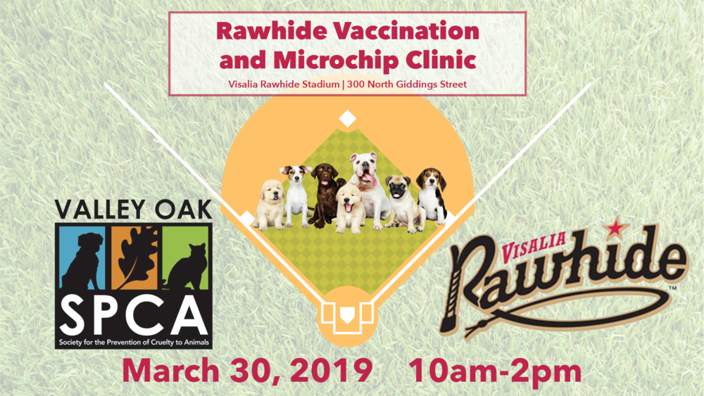 Rawhide For Web - Valley Oak Spca (1000x563), Png Download