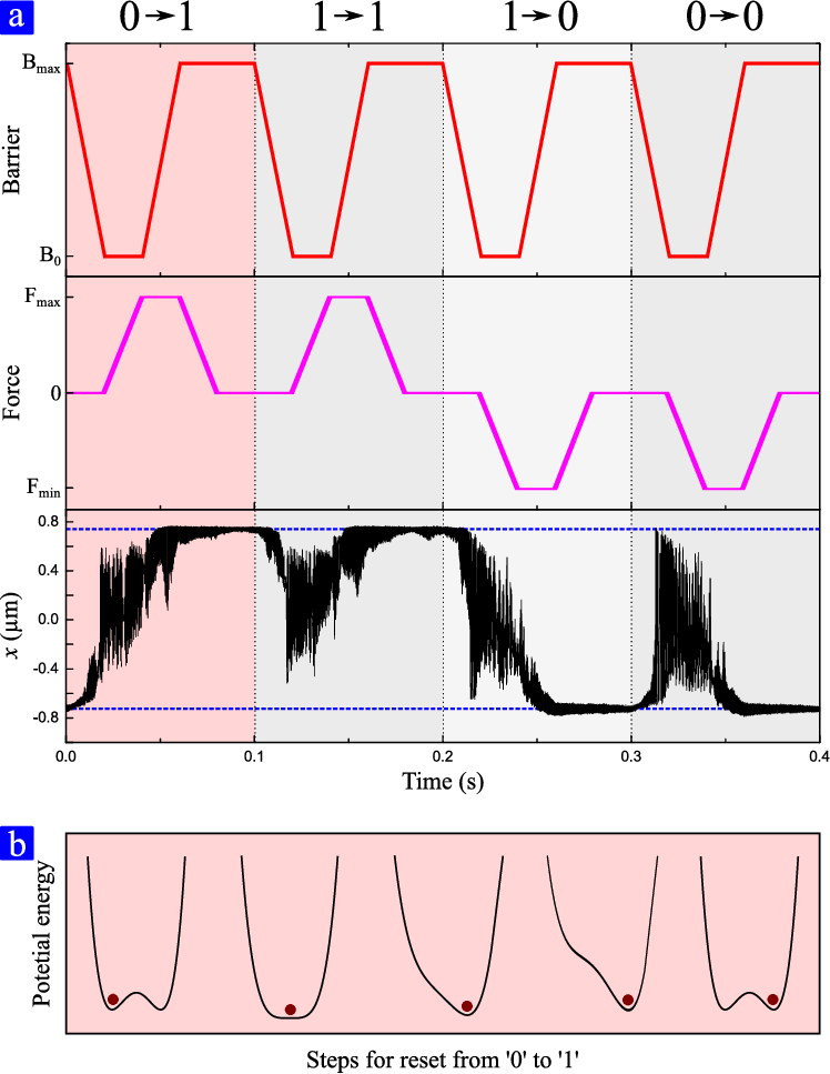 Protocol Used To Perform The Reset Operation - Illustration (748x967), Png Download