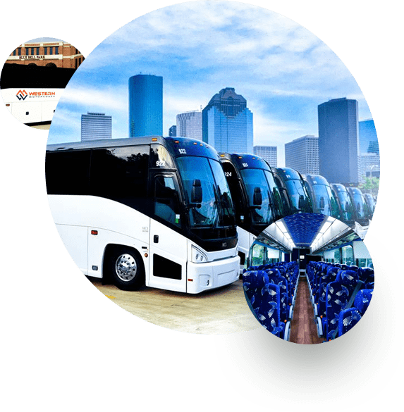 Safe - Tour Bus Service (573x585), Png Download