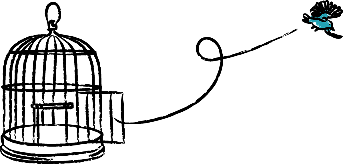 Look Forward Not Back (1200x574), Png Download