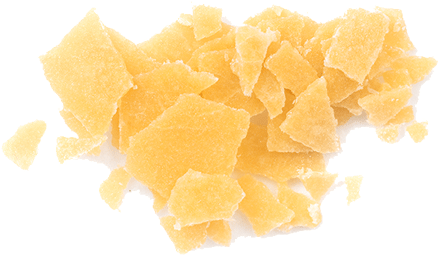 Island Extracts - Maidenhair Tree (900x900), Png Download