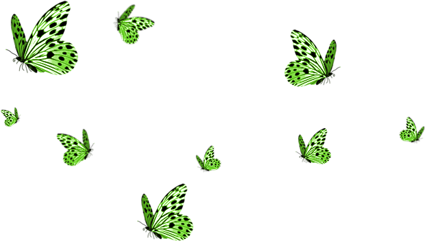 Butterflies Green - Green Butterfly Images Png (900x500), Png Download