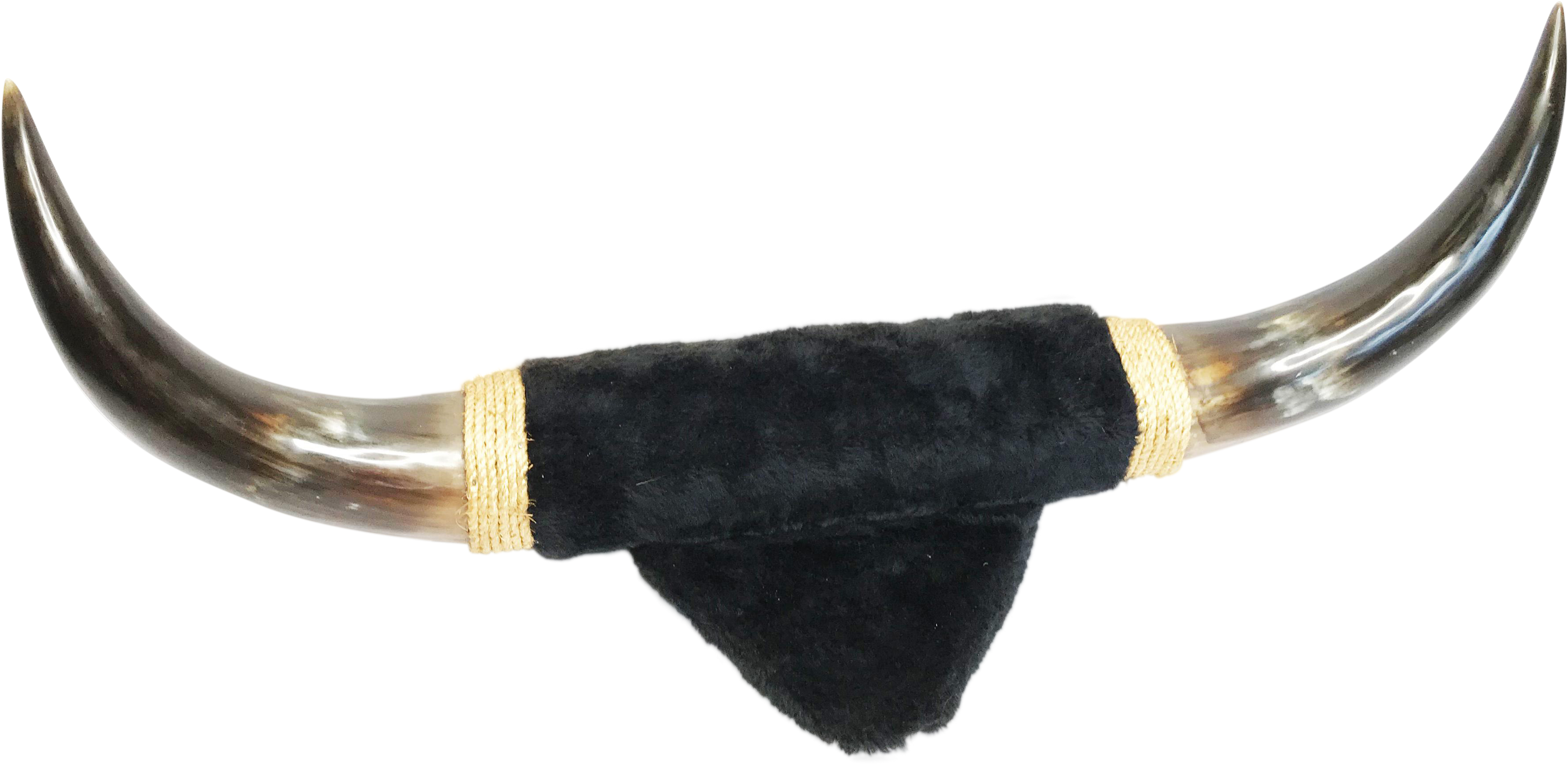 Bull Horns Png (4032x3024), Png Download