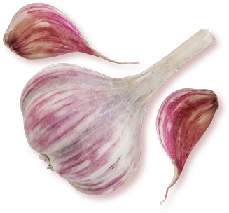 Garlic (350x350), Png Download