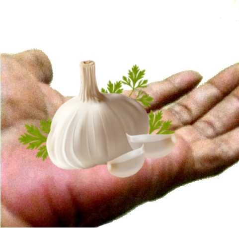 Ftestickers Sticker By Ani Chopurian - Sticker (480x853), Png Download