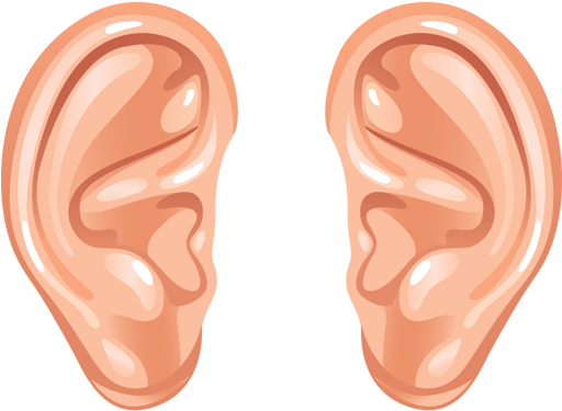 Ear Png Transparent Images - Human Ear Ears Clipart (800x400), Png Download