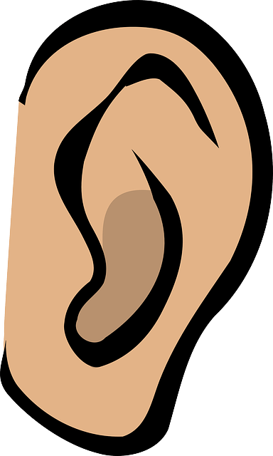 Pointed Ears Clipart Transparent - Ear Clip Art (360x599), Png Download