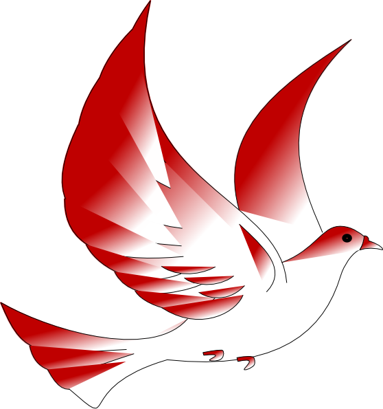 Indonesian Dove Png Clip Art (558x595), Png Download