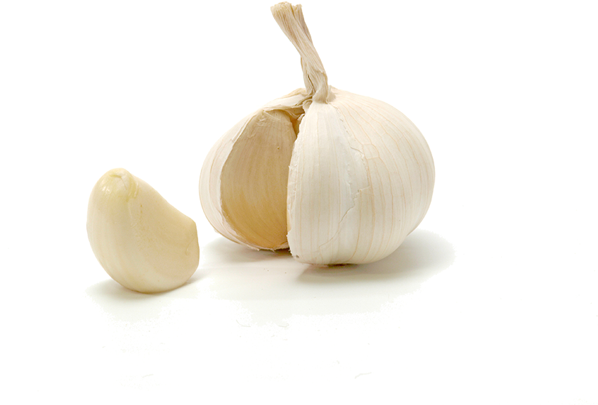 Garlic Bulb - Garlic (850x638), Png Download