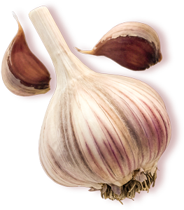 Garlic (350x350), Png Download