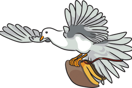 Full Hd Pictures Wallpaper - Bible Dove Clipart (450x300), Png Download