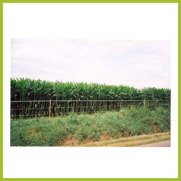 3-strand Fences - Split-rail Fence (600x600), Png Download