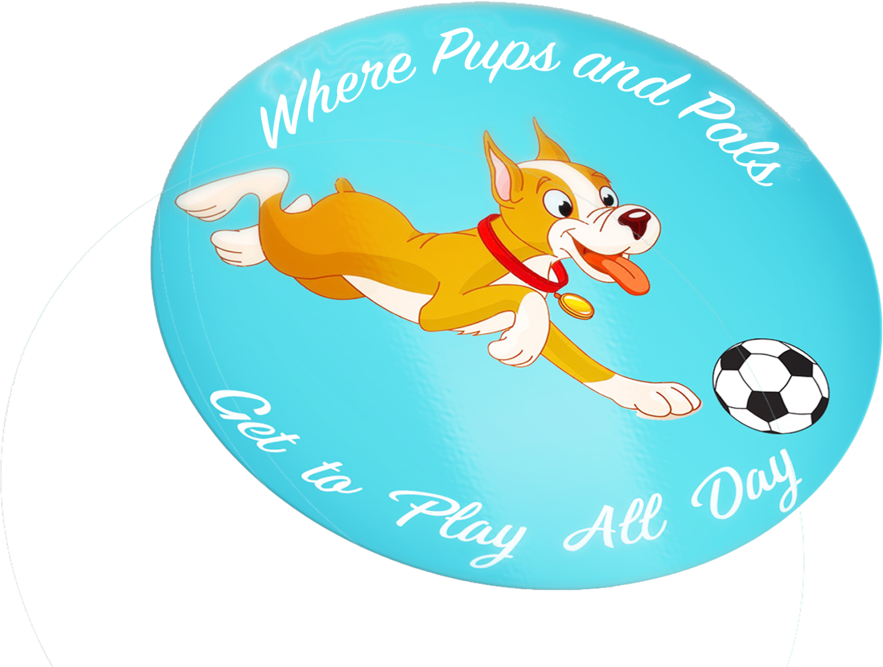 All Dogs Must Be Spayed/neutered By 6 Months Of Age - Child Care (2048x1425), Png Download