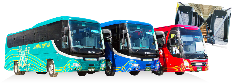 City Sightseeing Okinawa Hip-hop Bus - Okinawa Prefecture (956x362), Png Download