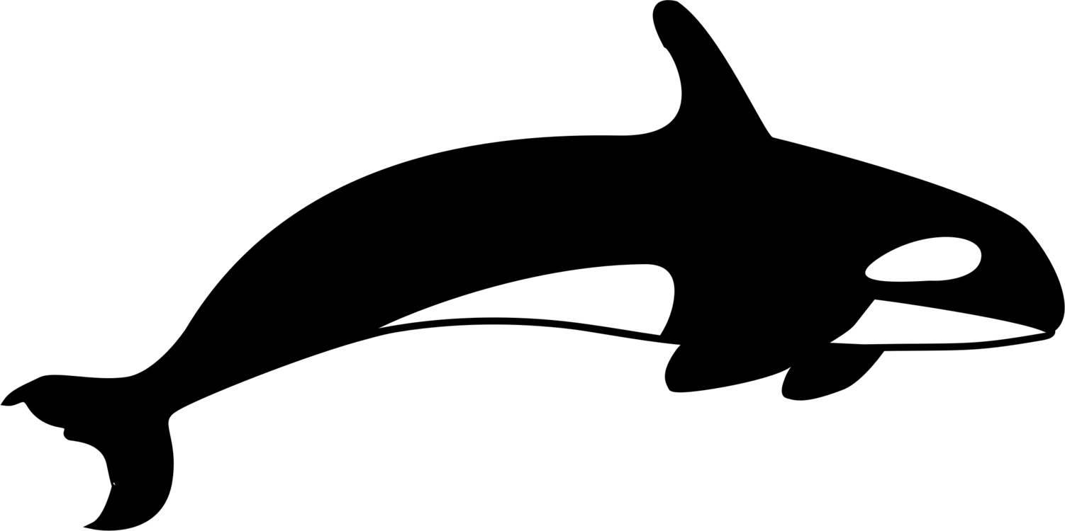 The Killer Whale Cetacea Blue Whale - Killer Whale Silhouette Png (1502x750), Png Download