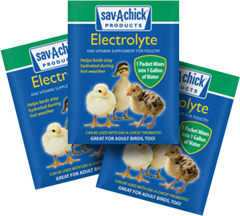 Sav A Chick Electrolyte (500x500), Png Download