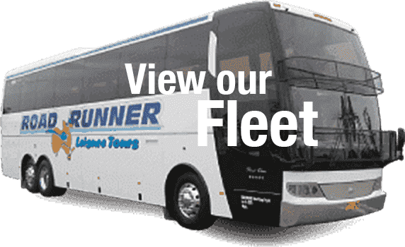 Coach - Tour Bus Service (572x350), Png Download