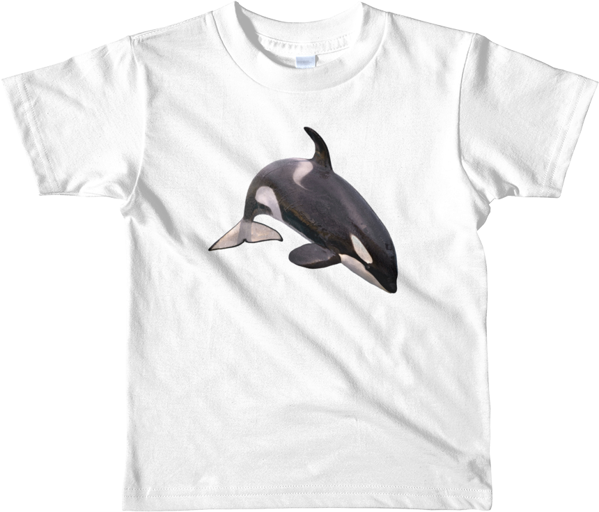 Killer Whale Print Short Sleeve Kids T Shirt - Kids Personalized Shirt | Short Sleeve Kids T-shirt (1000x1000), Png Download