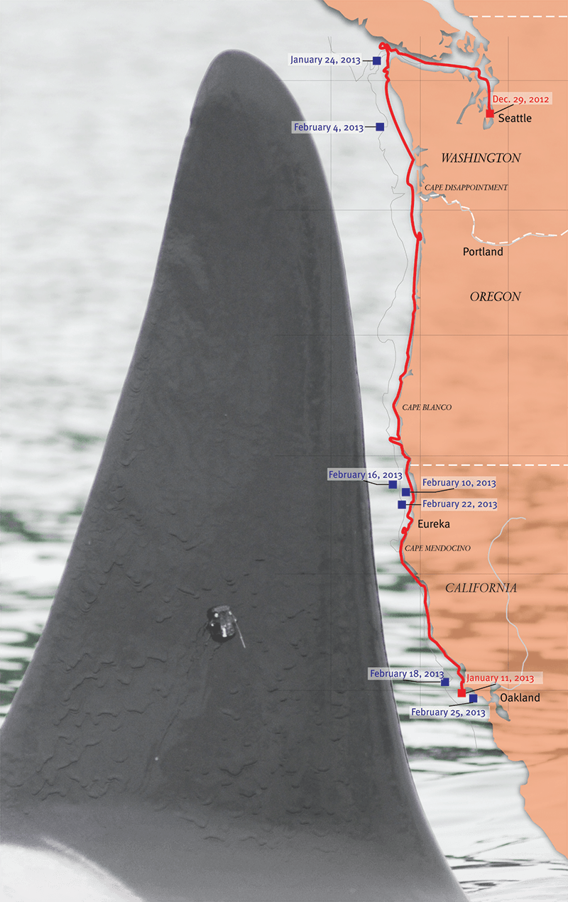 29, 2012, Researchers In Washington Attached A Satellite - Diagram (800x1270), Png Download