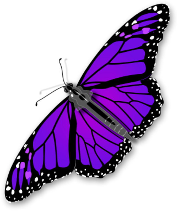 Purple Butterfly Transparent Png Png Mart - Monarch Butterfly Transparent Clipart (600x710), Png Download