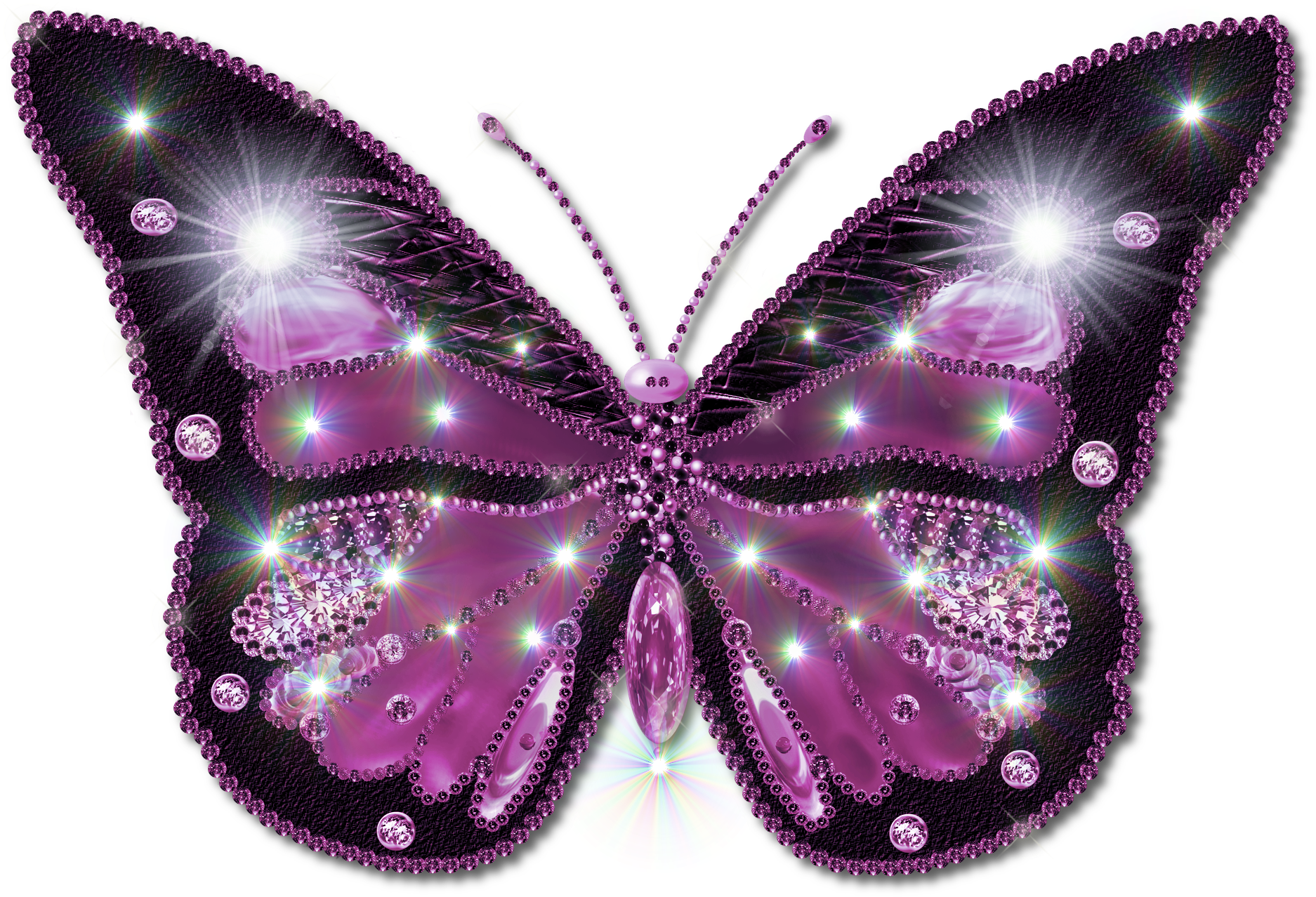 Butterfly Pictures Clipart - Butterfly Png Format (2000x2000), Png Download