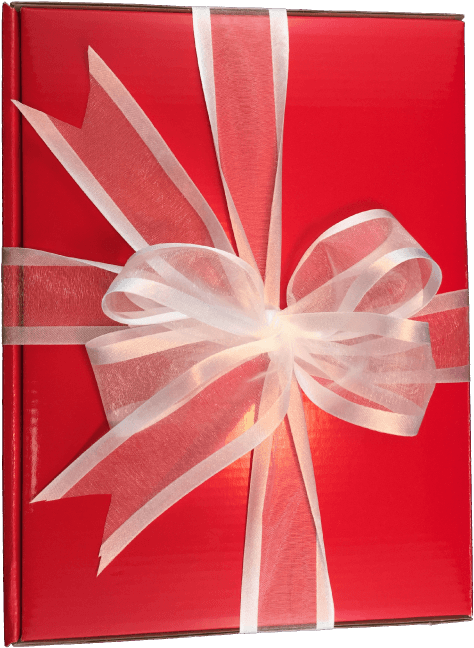 Christmas Gift Box - Png Of Gift Pack (600x695), Png Download