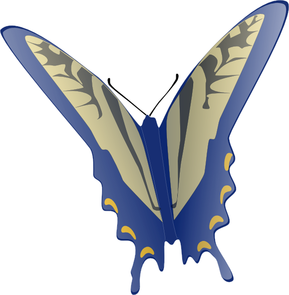 How To Set Use Blue And Gray Butterfly Clipart (582x595), Png Download